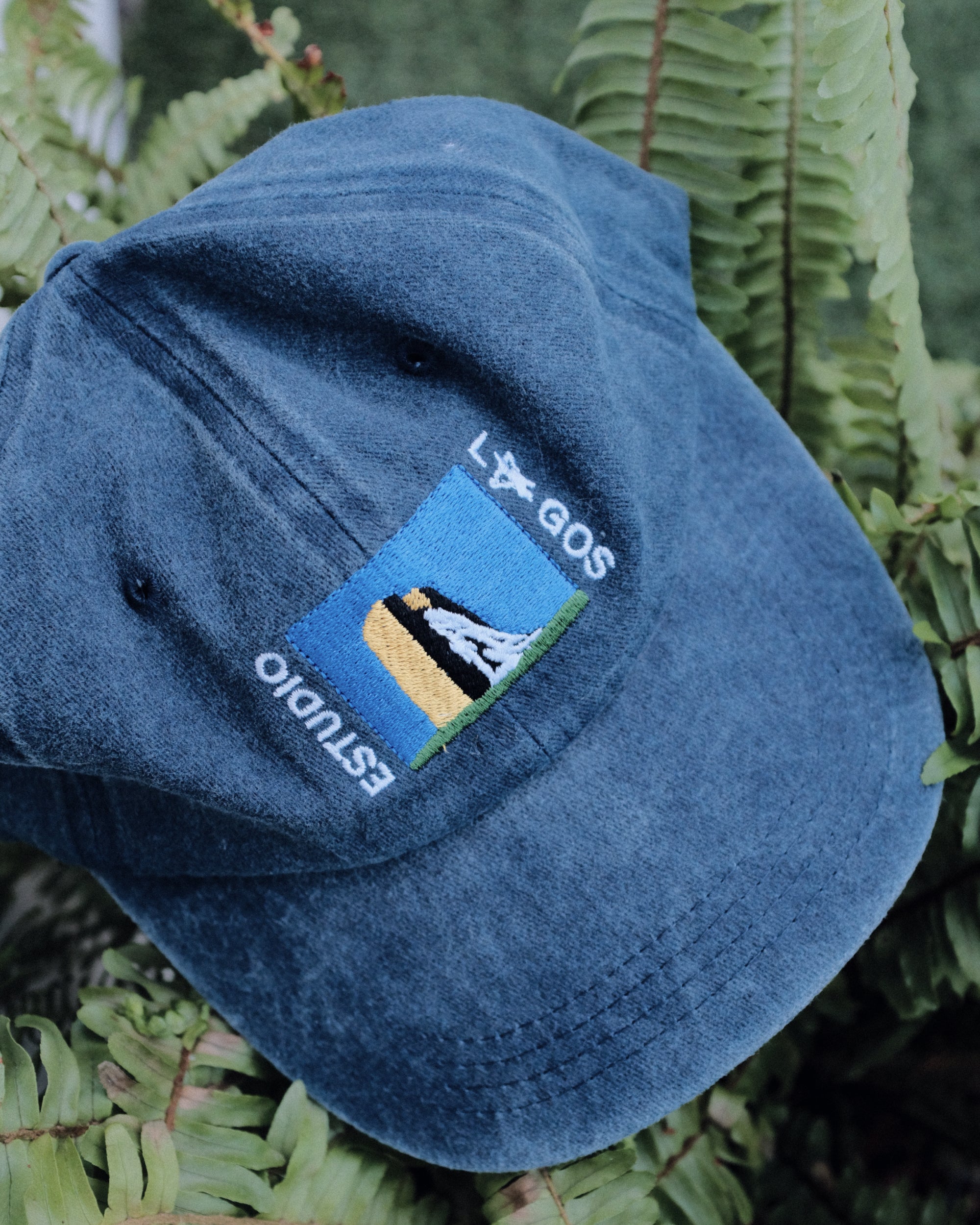 Dad Hat Estudio Lagos