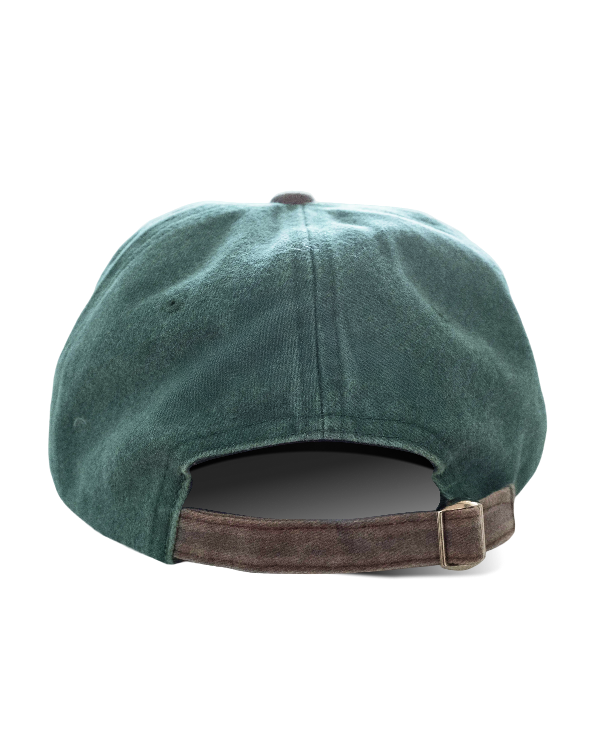 Dad Hat Big Star