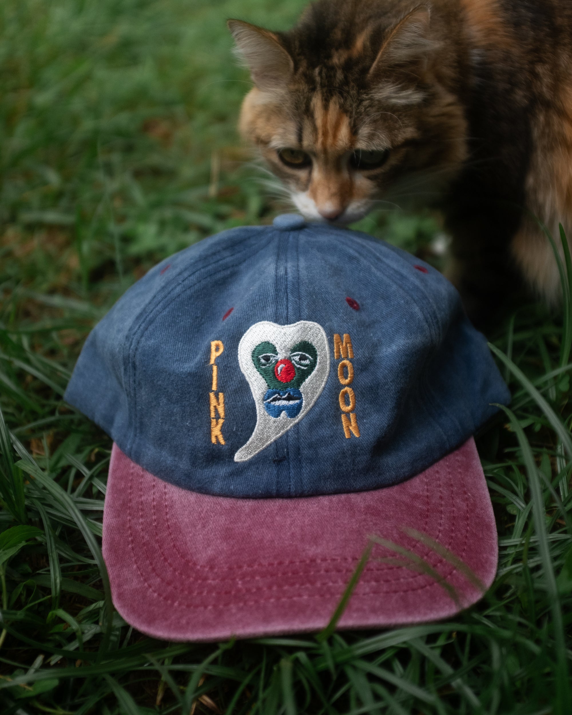 Dad Hat Pink Moon