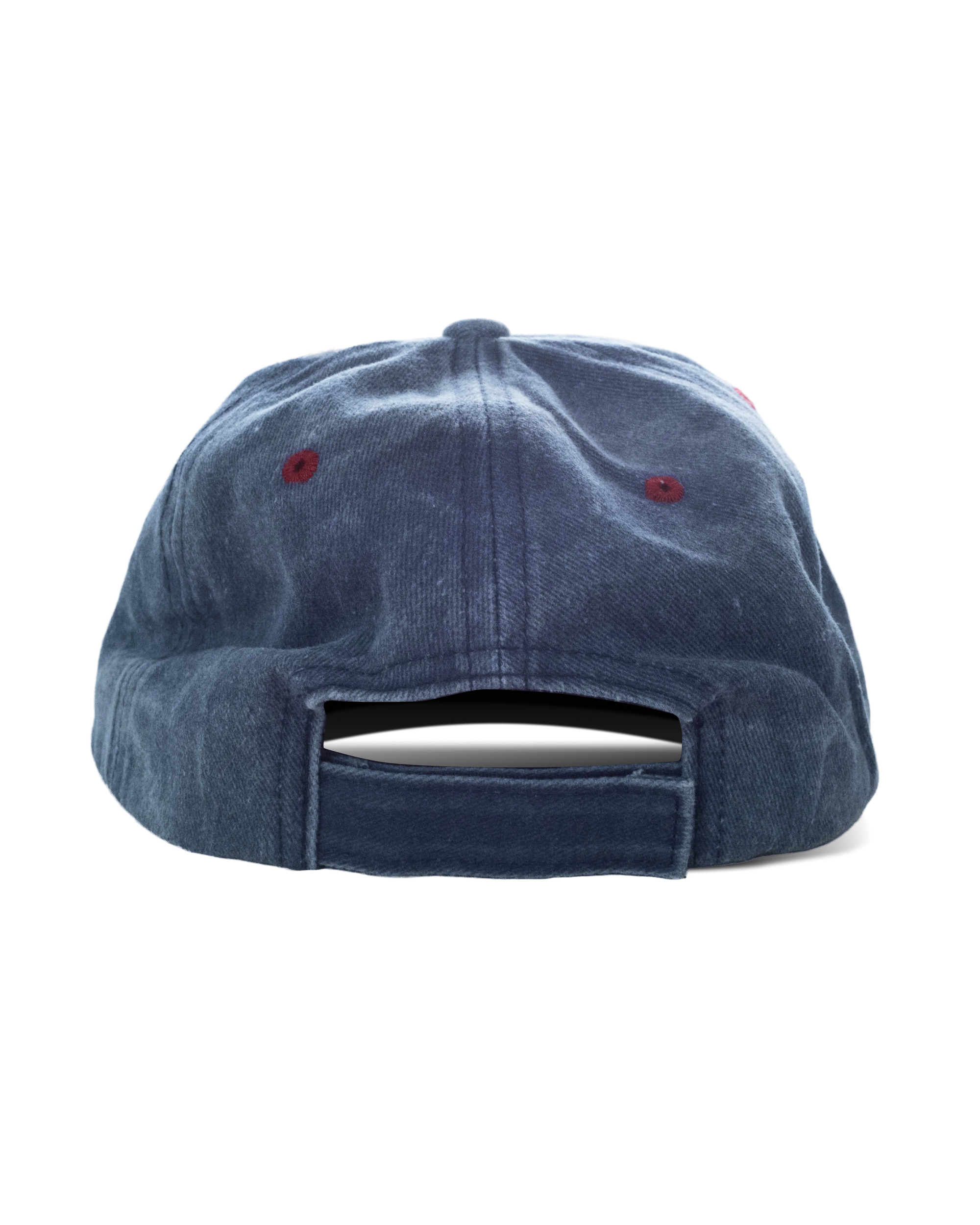 Dad Hat Pink Moon