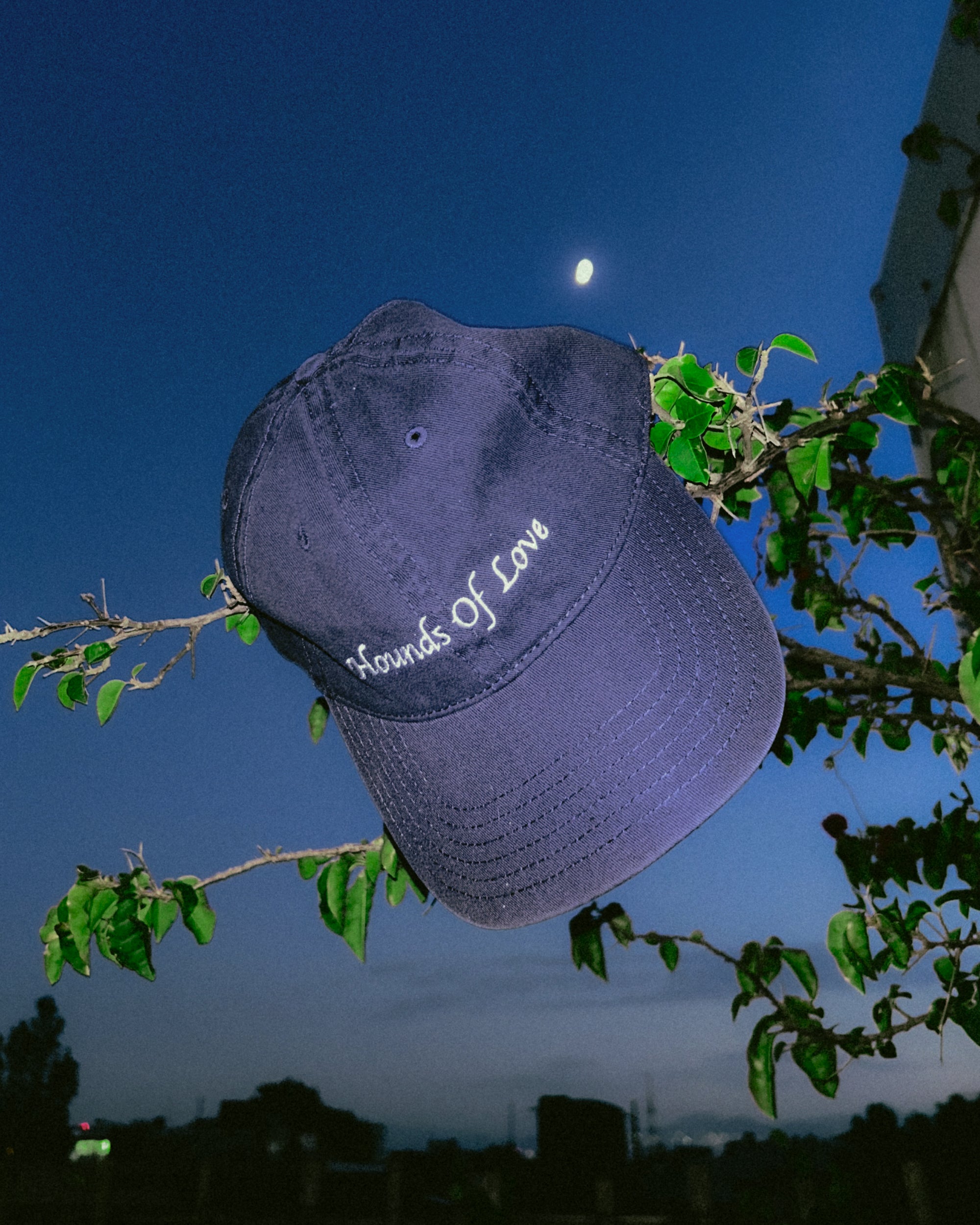 Dad Hat Hounds Of Love