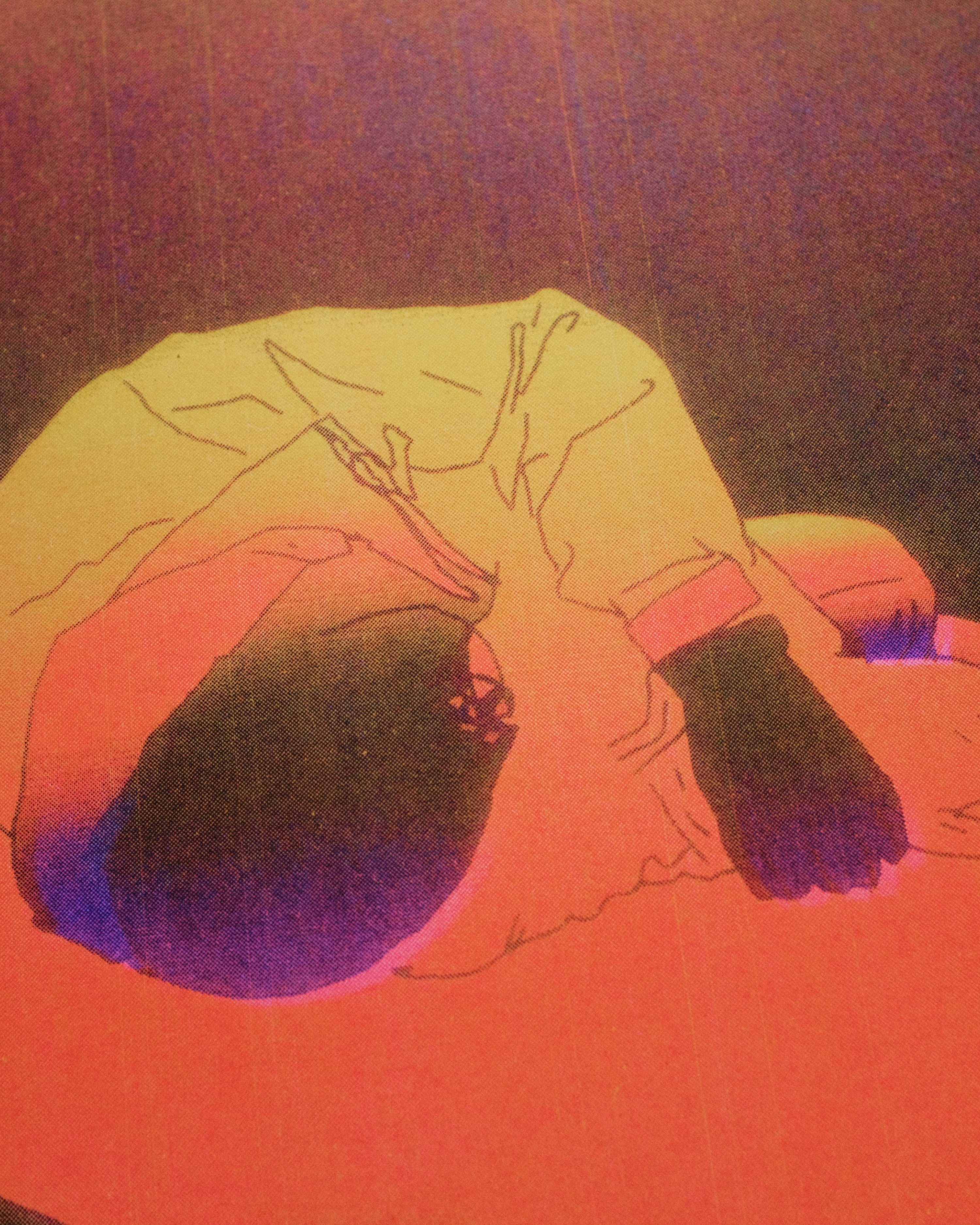 Sin título - Serie Completa (5 risos)