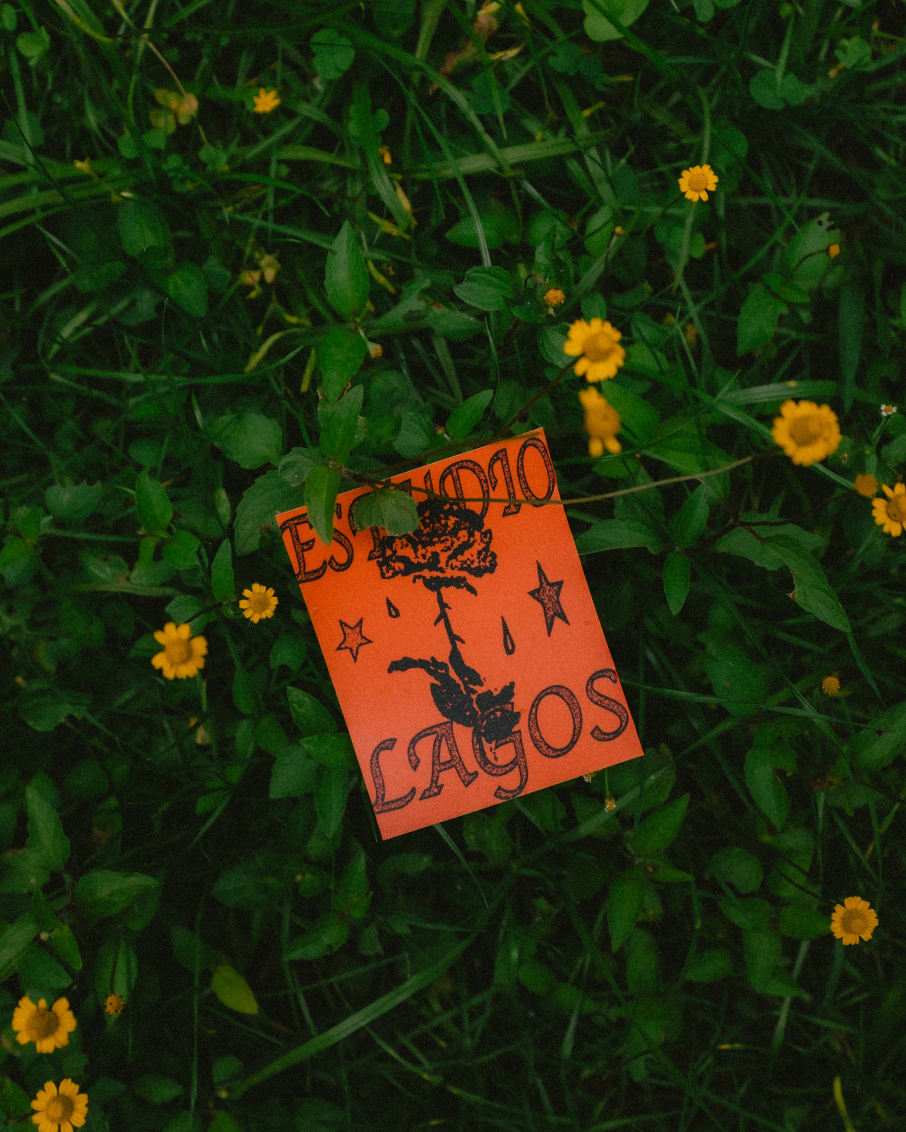 4-Pack Sticker 