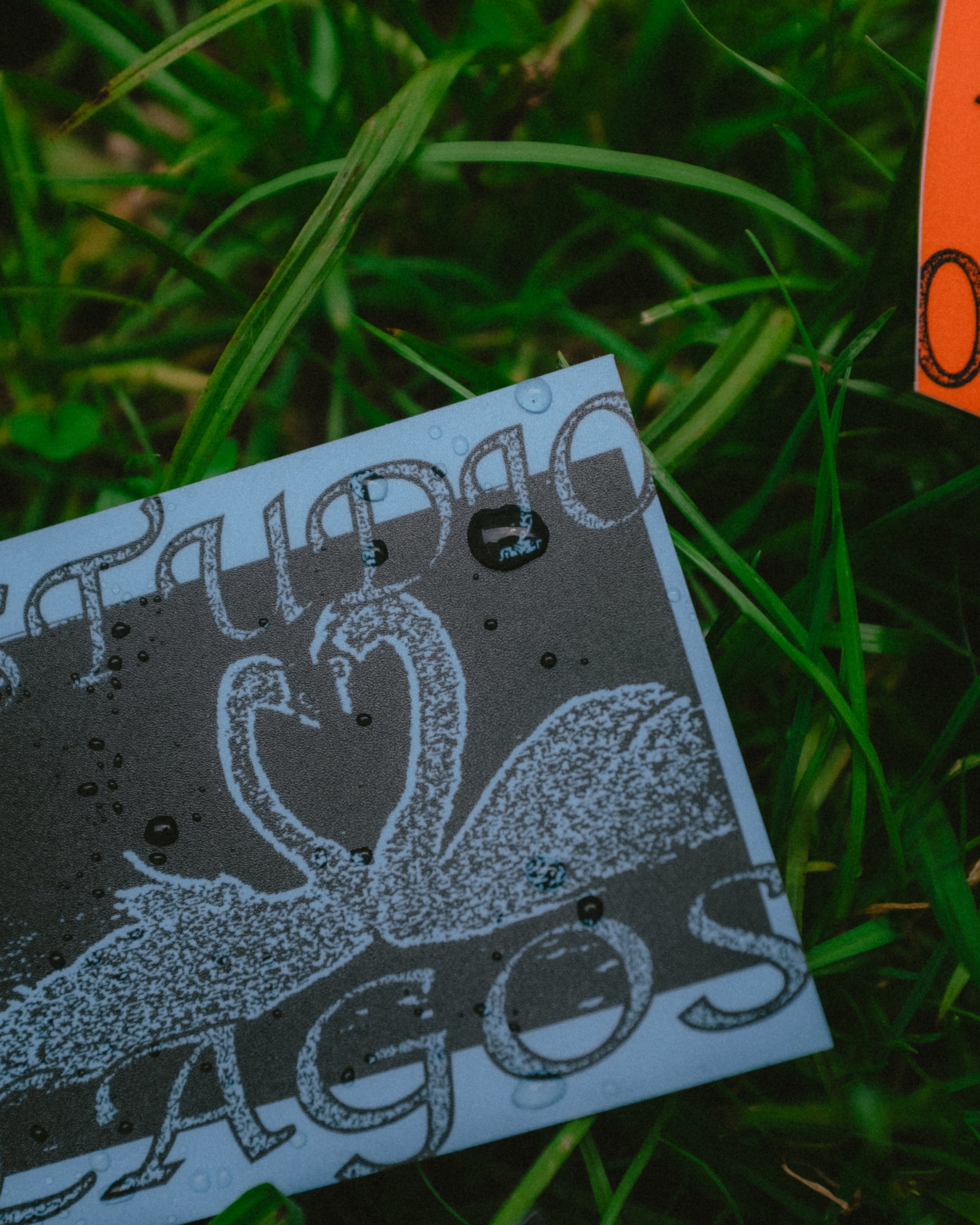 4-Pack Sticker 